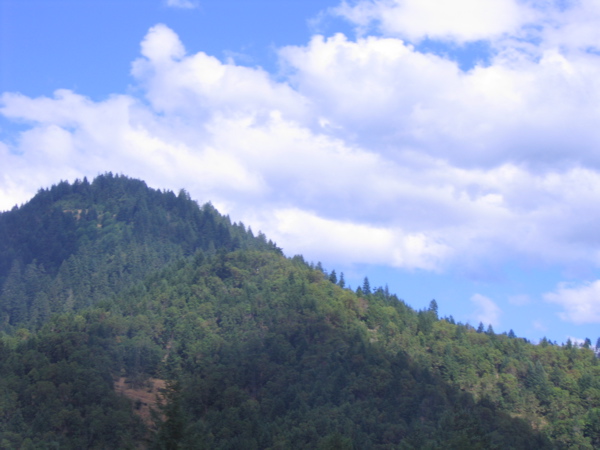 RoadView01