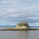 chinacamp_island